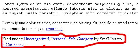 WordPress主题开发教程八:日志元数据